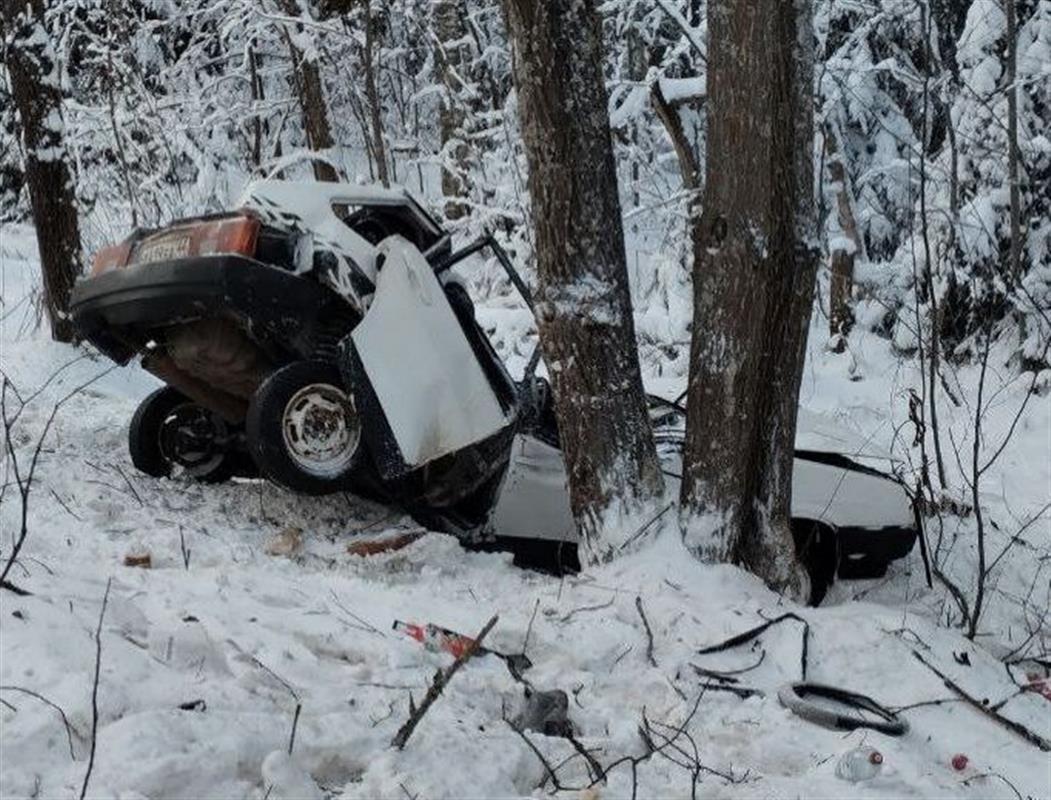 В Костромском районе автомобиль съехал в кювет: водитель и пассажир погибли