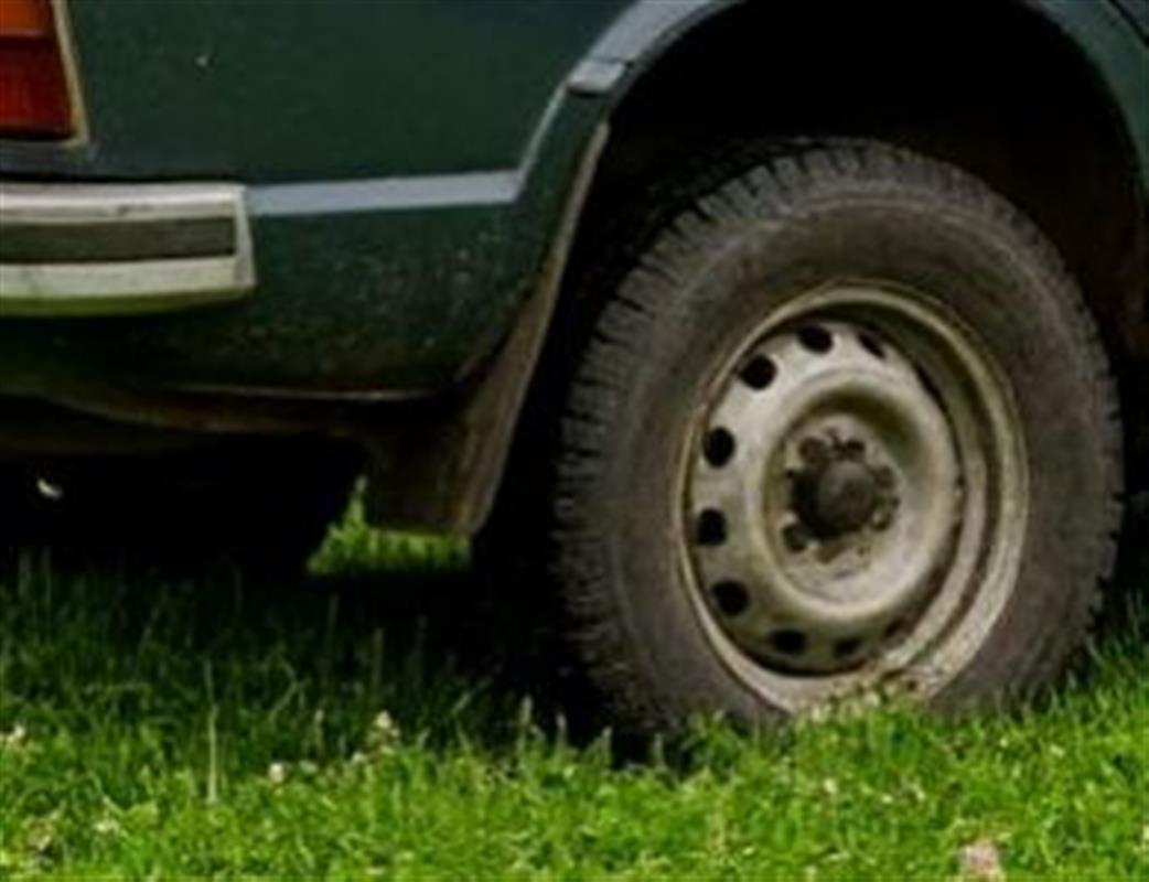 «Народный инспектор» выступает против парковки авто на газонах в Костроме
 