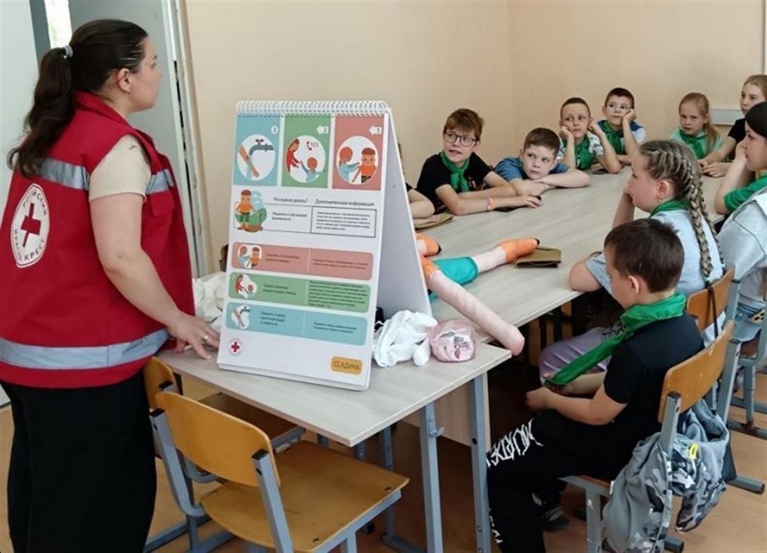 Более 500 детей костромичей - участников СВО посещают кружки и секции  бесплатно