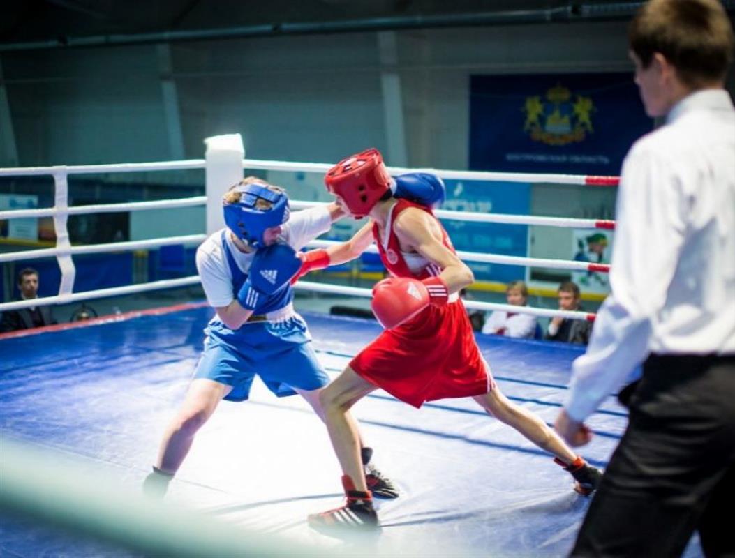 В Костроме пройдёт открытый ринг по боксу