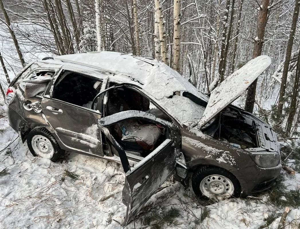На костромской трассе «Лада» с людьми улетела в кювет: погиб ребёнок
