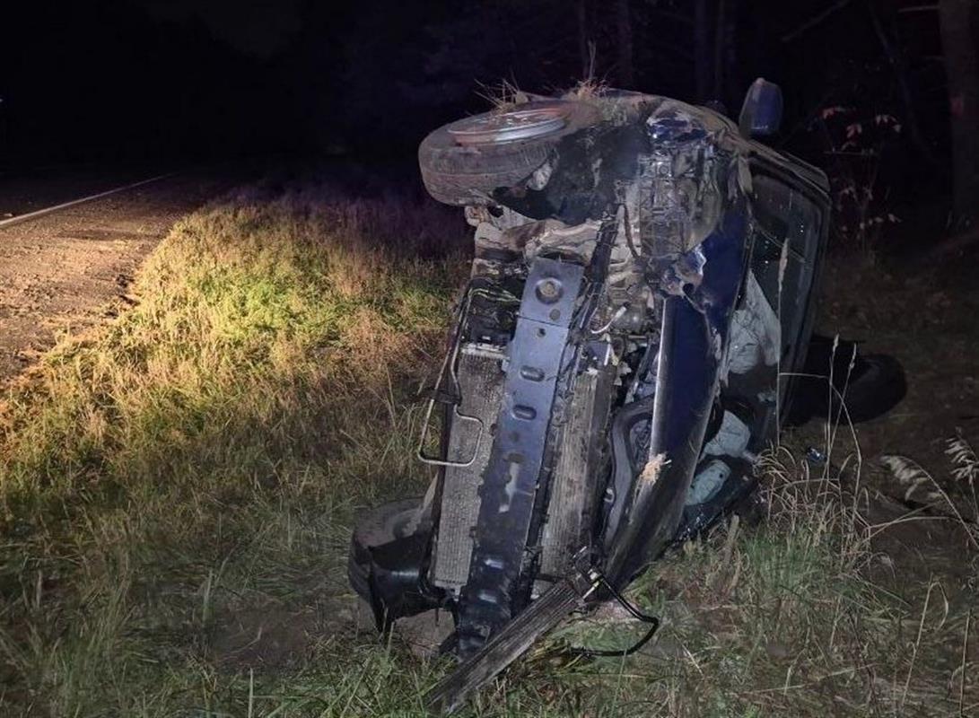 В Костромском районе иномарка съехала в кювет и опрокинулась 