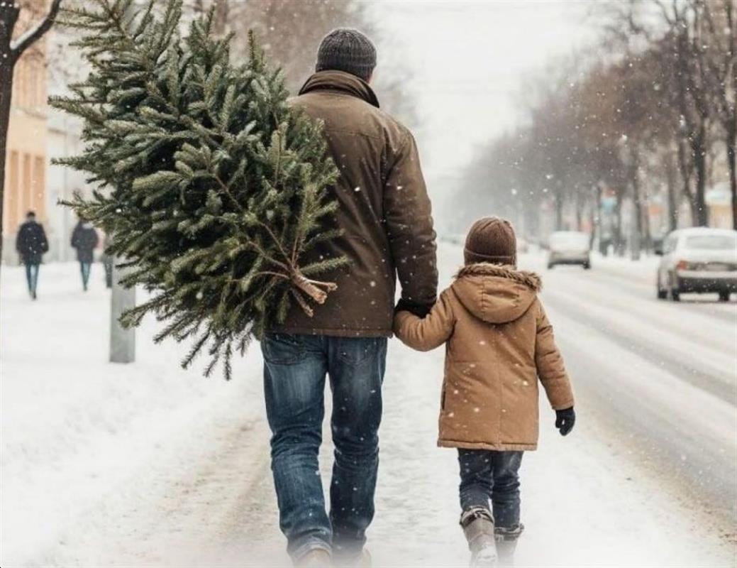 «Ёлковорот»: костромичи могут подарить вторую жизнь новогодней ели
