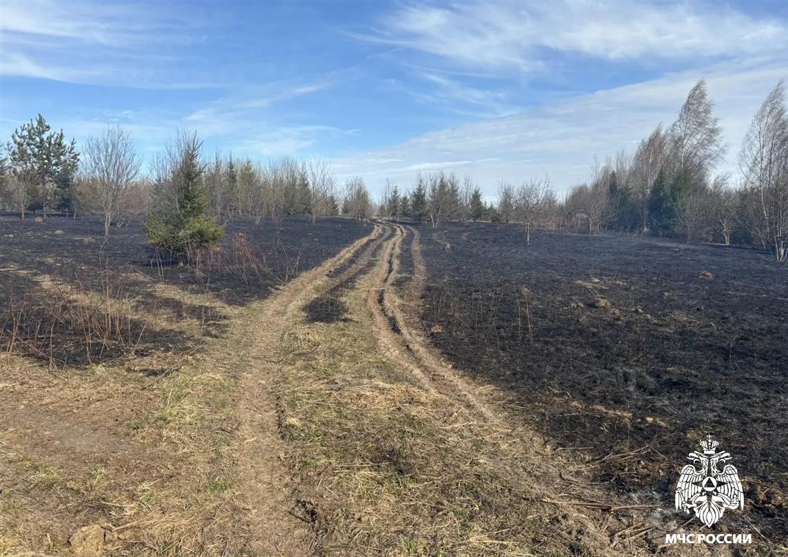 Костромичам напоминают, что за поджигание травы и мусора можно получить штраф