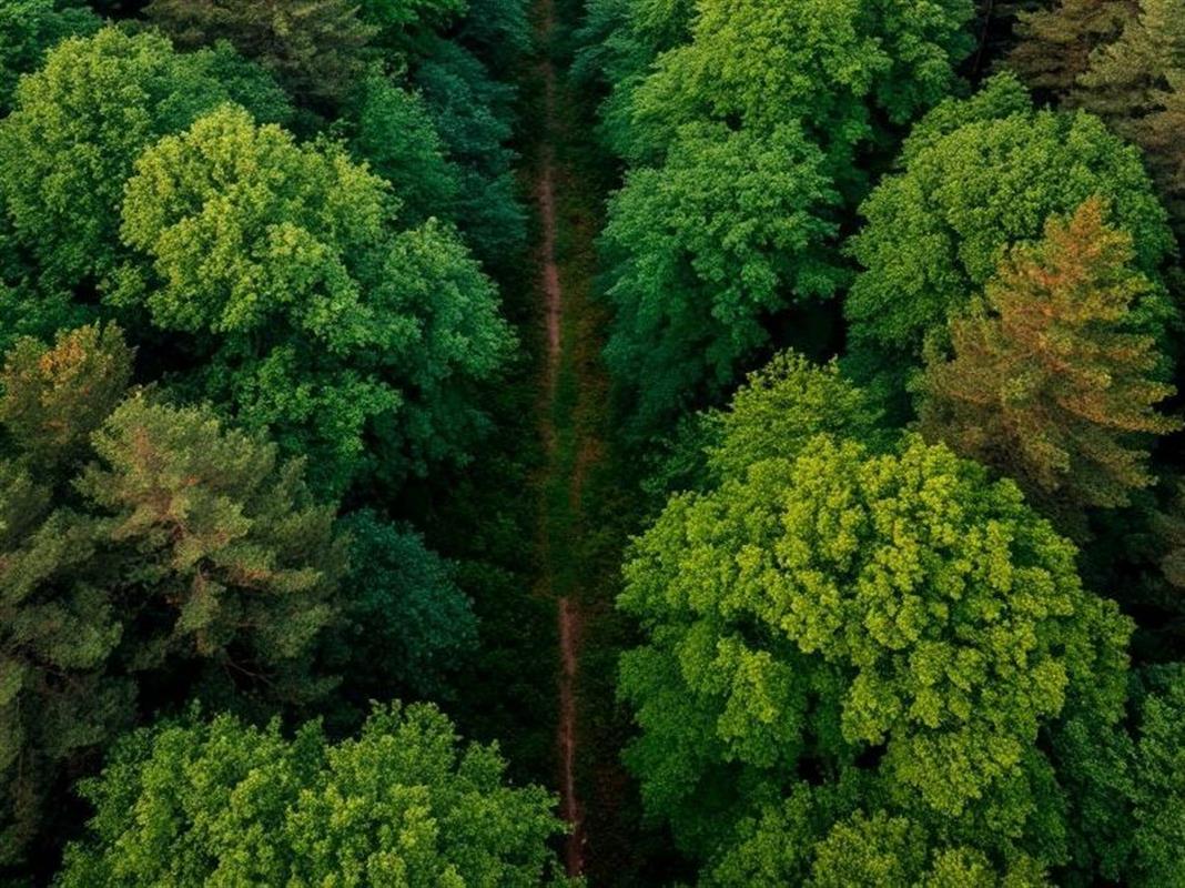 Жителям Костромской области назвали дату начала пожароопасного сезона