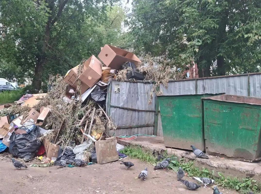 Контейнерные площадки Костромы проверяют на соблюдение графика вывоза мусора