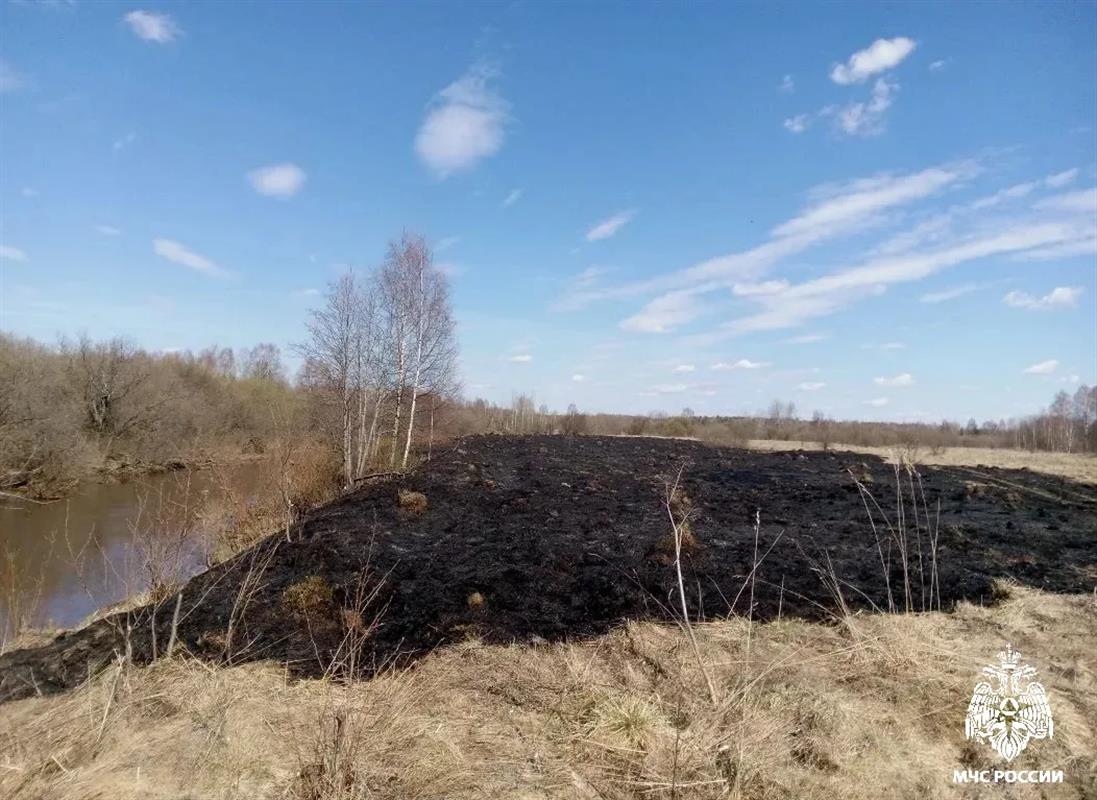 В Костромской области разыскивают поджигателей сухой травы
