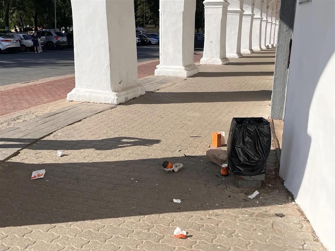 По центру с «Дозором»: в костромских рядах проверили состояние урн