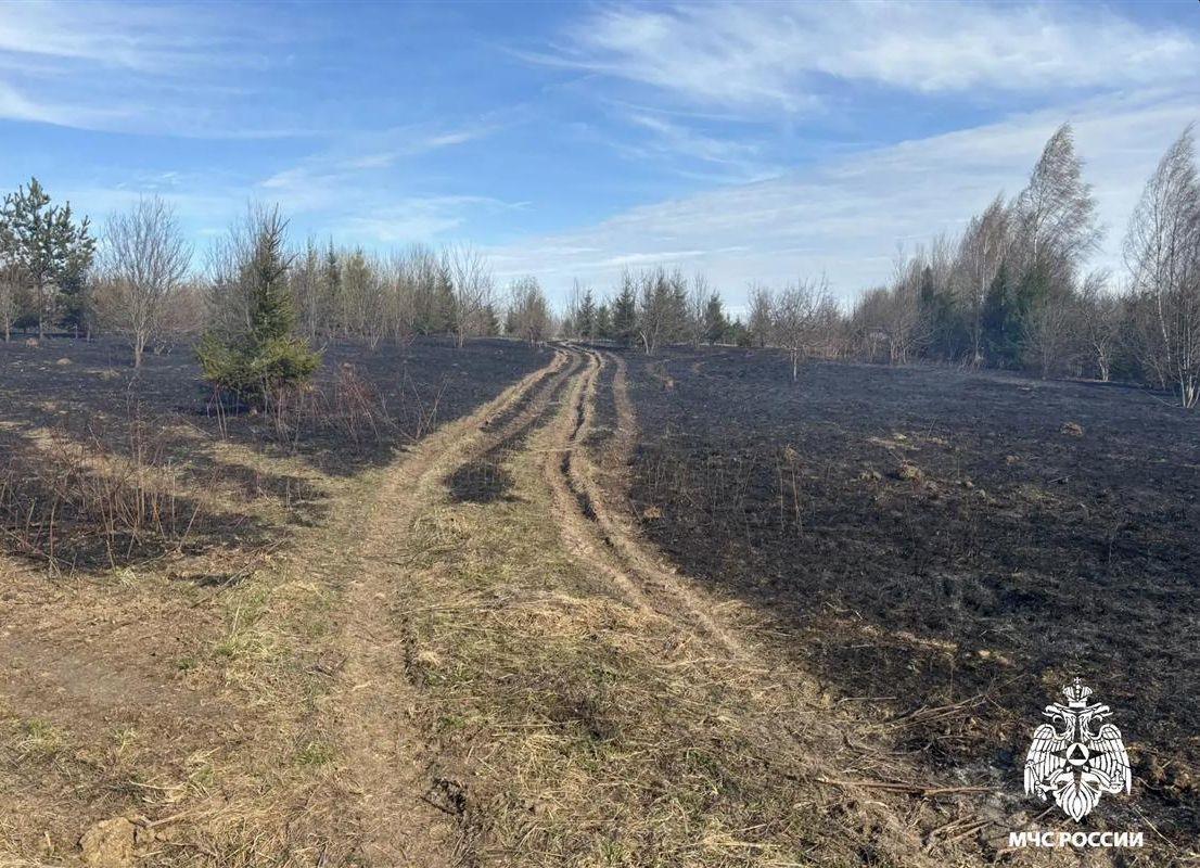 Костромичам напоминают, что за поджигание травы и мусора можно получить штраф